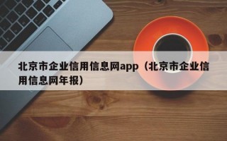 北京市企业信用信息网app（北京市企业信用信息网年报）
