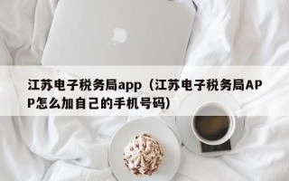 江苏电子税务局app（江苏电子税务局APP怎么加自己的手机号码）